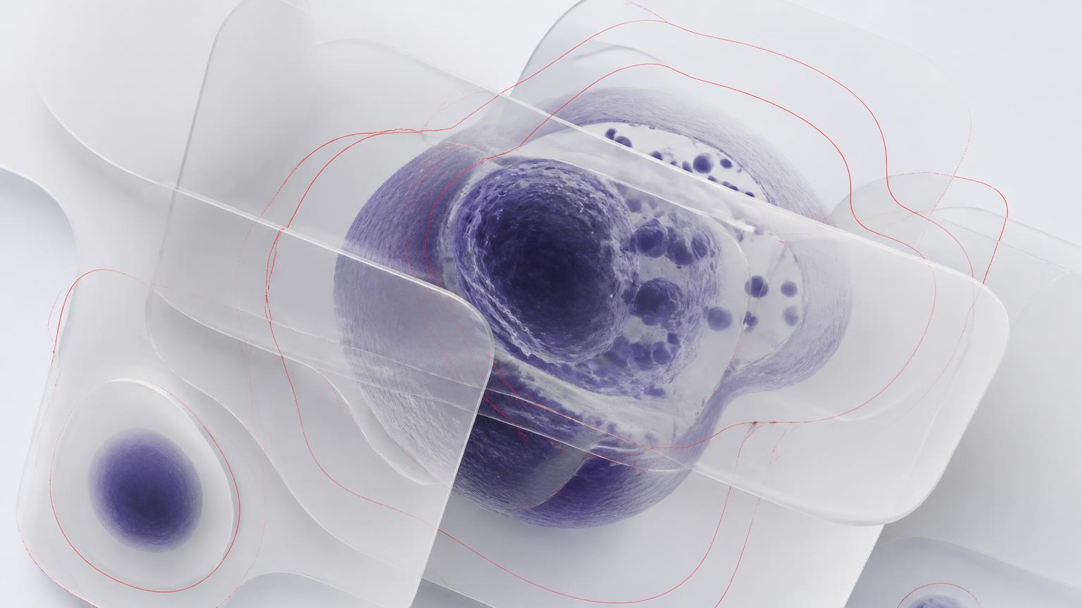 Abstract cover image: translucent glass panes over a faint violet cell form with thin red contour lines.